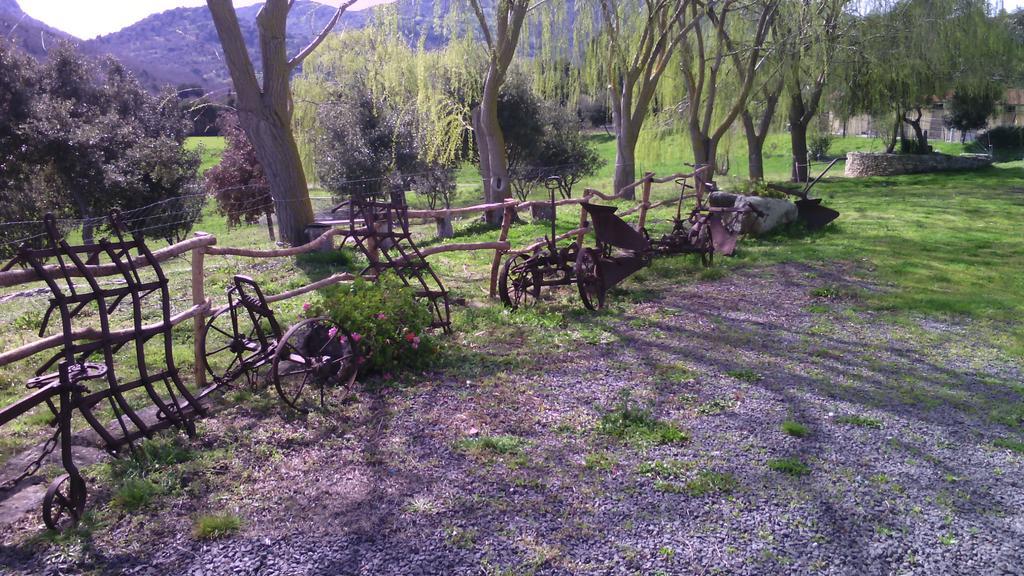 Agriturismo Cugumia Thiesi Bagian luar foto