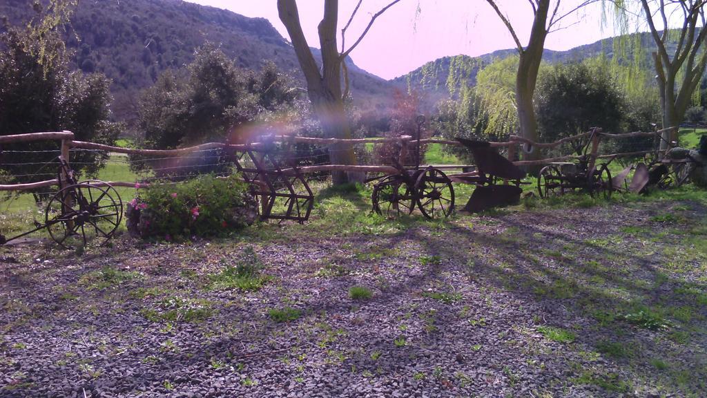 Agriturismo Cugumia Thiesi Bagian luar foto