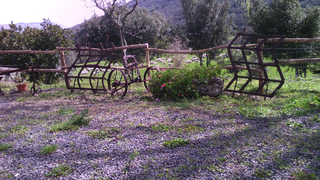 Agriturismo Cugumia Thiesi Bagian luar foto