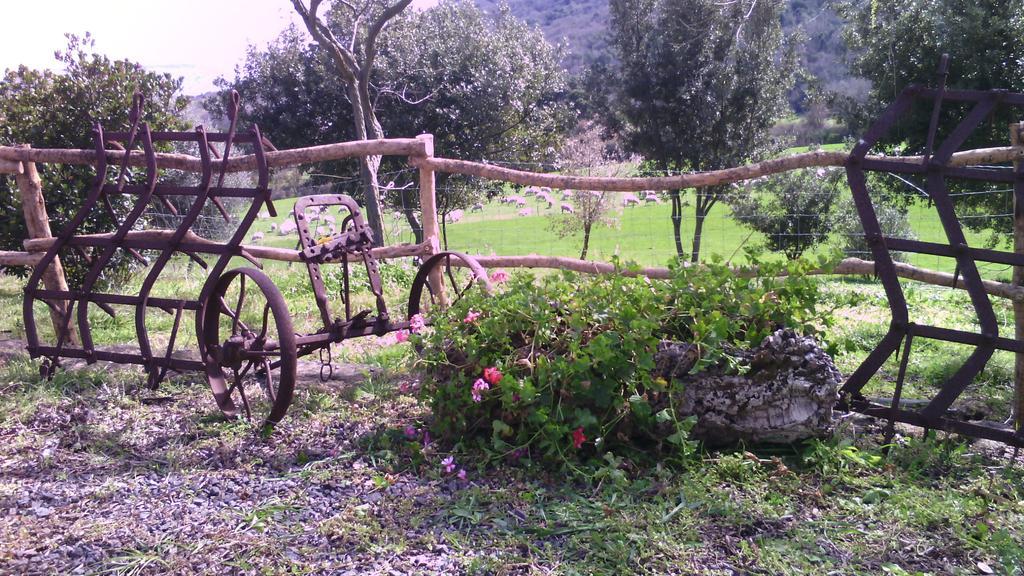 Agriturismo Cugumia Thiesi Bagian luar foto