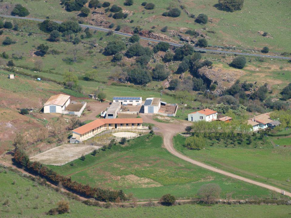 Agriturismo Cugumia Thiesi Bagian luar foto